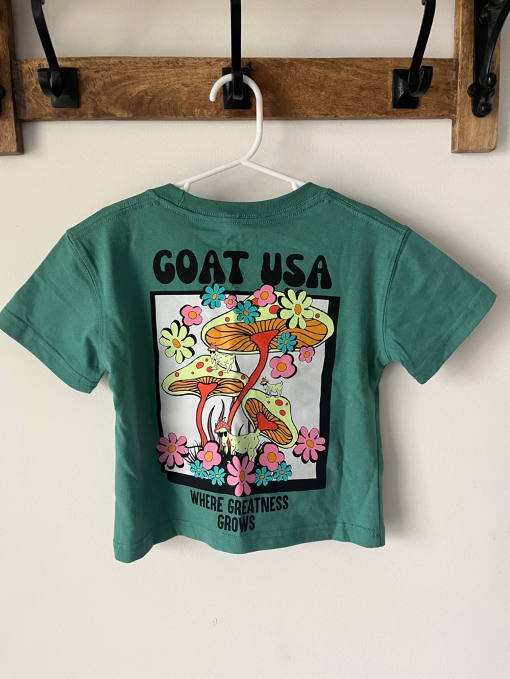 GOAT USA Kids Graphic Tee Mushroom Goat Green Youth Small YS NWT